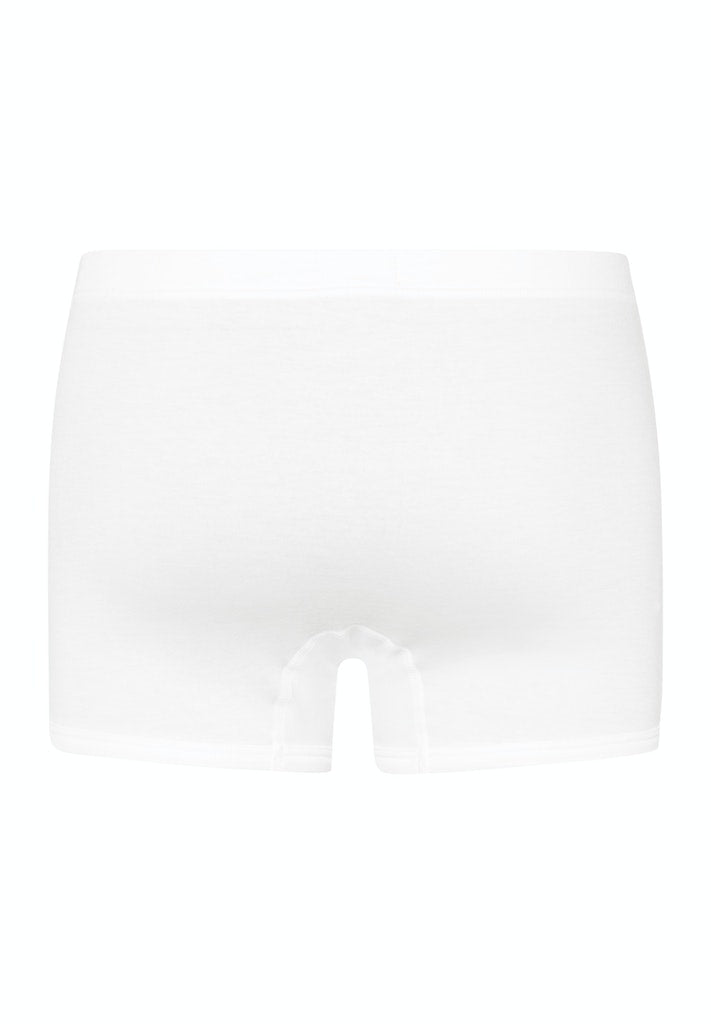 Sea Island Cotton - Pants - HANRO