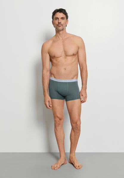 Cotton Essentials - Pants 2-Pack