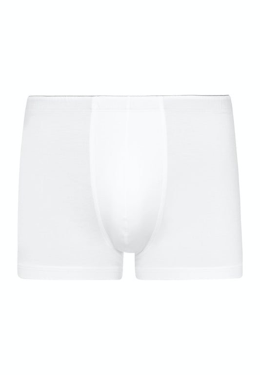 Cotton Superior - Pant - HANRO
